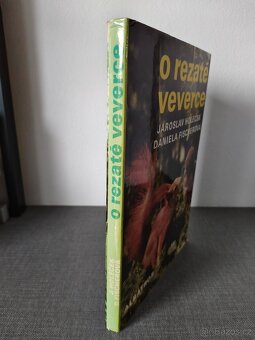 Dětská kniha- O rezaté veverce –JAKO NOVÉ - 7