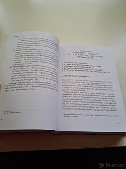 Trestní právo procesní - Jiří Jelínek a kolektiv - 7