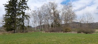 Pozemek - ostatní se stromy -1128 m² - 7