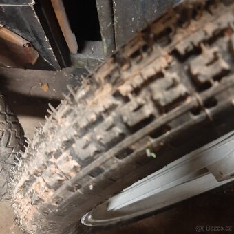 Manet Korádo,Babetta - 7