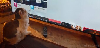 Samsung 163cm..rok 21...4k tv - 7