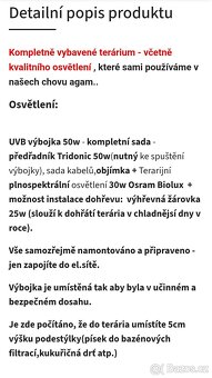 Agama vousatá + terárium - 7