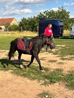 Pony klisna - 7
