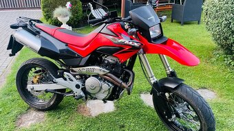 Honda FMX650 - 7