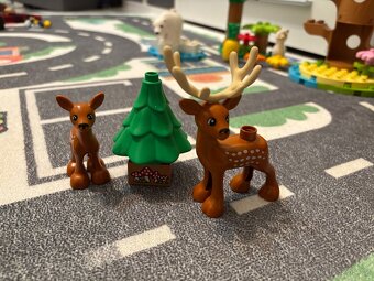 Lego duplo 10975 Divoká zvířata světa - 7