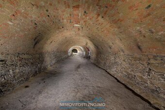 Prodej vinného sklepa v rámci hlavní sklepní uličky v Šatově - 7