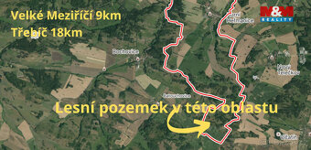 Prodej lesa v Horních Heřmanicích - 7