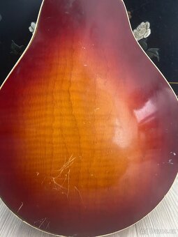 Masivní Americká Mandoliná Kay - 7