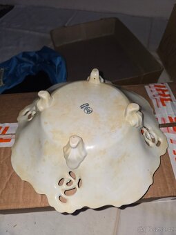 Prodam megasadu originalniho cibulaku - 7