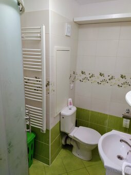 Pronájem bytu 1+1 Znojmo - 7