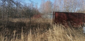 Pozemek 1769 m2 Seč - 7