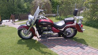Suzuki VL 800 - 7