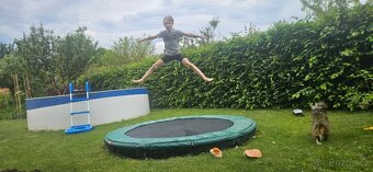 Trampolína do země 240cm - 7