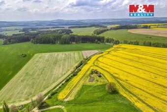 Prodej pole, 6672 m², Pláň, Ostrov u Bezdružic - 7