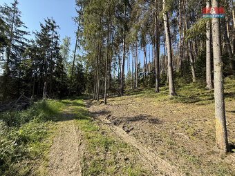 Prodej lesa, 23184 m², Milešov - 7