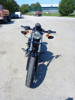 Harley davidson 883 - 7