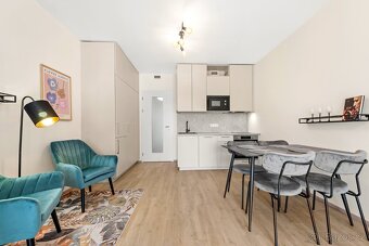 Pronájem zařizeného bytu 1+kk 35 m² s balkonem - 7