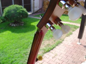 Prodám banjo Recording King OT 26 open back - 7