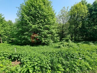 Prodej stavebního pozemku 2978 m2 Písečná - Studený zejf, ok - 7