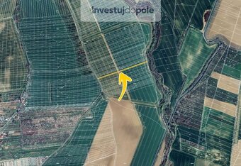 Prodej pole v k.ú. Hýsly - 7