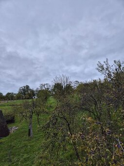 Zahrada ve lhotské Staré hoře - 7