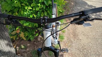 Focus Whistler 3.8 ,29" - 7