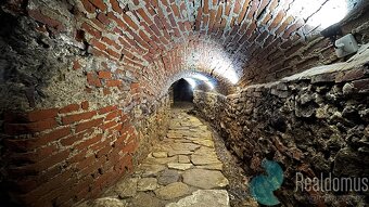 Pronájem, restaurace, bar, Prachatice - 7