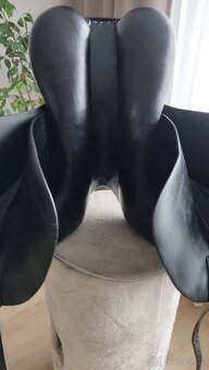 Cobra (Amerigo, Equipe) - 7