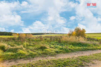 Prodej louky, 672 m², Vysoká Libyně - 7