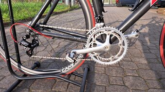 Silniční kolo RB   Campagnolo - 7