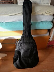 Kytary a mandolina - 7
