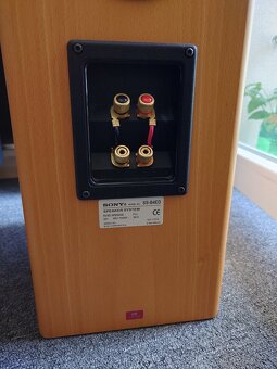 Sony SS B4ED - 7