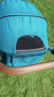 Oyster zero Peacock - 7