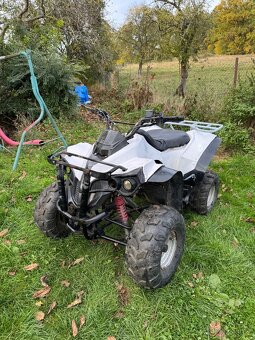 Velká čtyřkolka 125ccm - 7