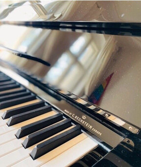 W.Hoffmann Model P126 Piano Mint (2019) Černá, Stříbrné apli - 7
