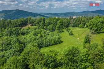 Prodej lesa, 6085 m², Tanvald - 7