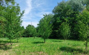 Prodej zahradních pozemků, celkem 5 961 m² , Rajhrad - 7