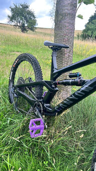 Canyon Torque - 7