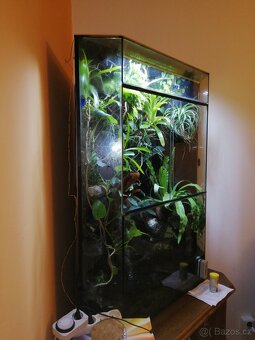 Terarium/paludarium - 7