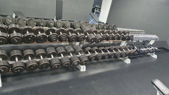Prodám kompletní fitness vybavení GrünSport Klasik - 7