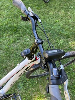 Leader Fox Toscana Lady 19’ - 7