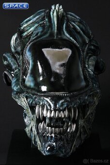 Alien head sideshow - 7