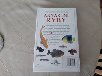 Akvarijní ryby - pouhým okem - 7
