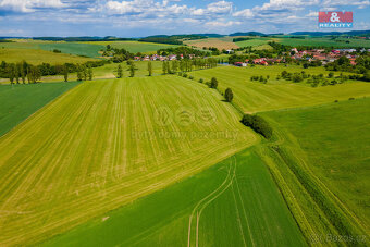 Prodej louky, 2373 m², Blížejov - 7