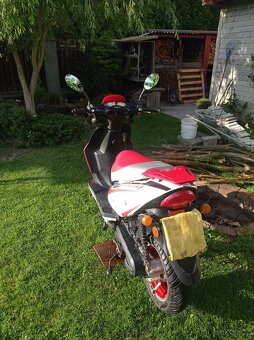 Kentoya Sharky 50ccm - 7
