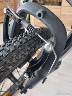 Scott Contessa 20 - 7