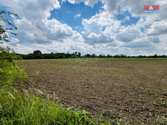 Prodej pozemku, 1026 m², Veselí nad Moravou - 7