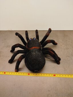 PRODÁM TARANTULI NA DO - 7