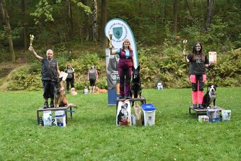 Americký stafordširský teriér s PP - 7