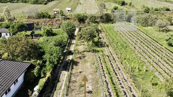 Prodej, Pozemky, Vinný sklep, Ubytování, 528 m2 - Mikulov - 7